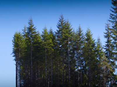 2026, landscape