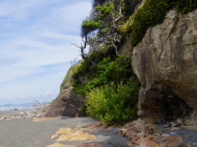 2026, landscape, pacific-coast