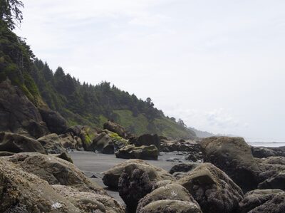2026, landscape, pacific-coast