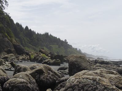 2026, landscape, pacific-coast