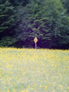 2026, tilt-shift-lens