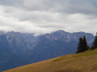 2026, olympic-national-park, tilt-shift-lens