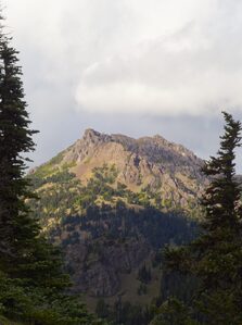 2026, olympic-national-park, tilt-shift-lens