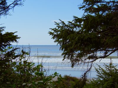 2026, olympic-national-park, pacific-coast, pacific-ocean
