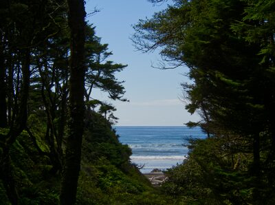 2026, olympic-national-park, pacific-coast, pacific-ocean